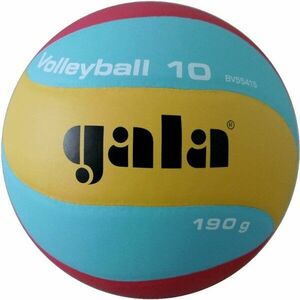 Gala Volleyball 10 BV 5541 S - 190g kép