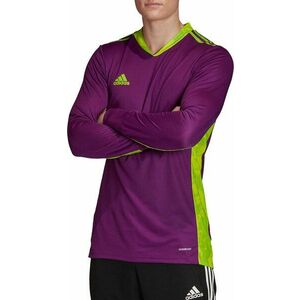 Hosszú ujjú póló adidas AdiPro 20 Goalkeeper Jersey LS kép