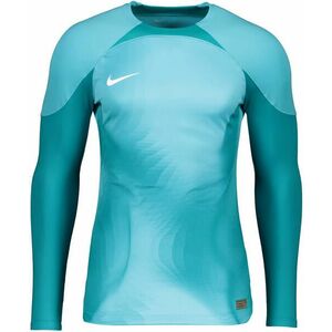 Hosszú ujjú póló Nike Foundation Long Sleeve Goalkeeper Jersey kép