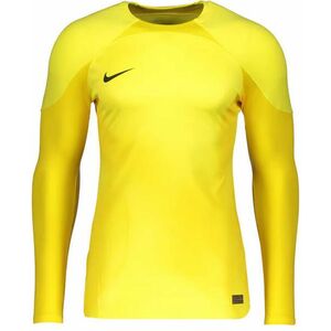 Hosszú ujjú póló Nike Foundation Long Sleeve Goalkeeper Jersey kép