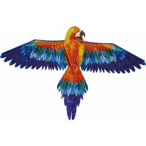 Sárkány - vörös papagáj kép
