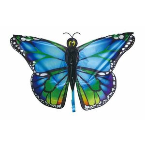 Sárkány - kék pillangó kép