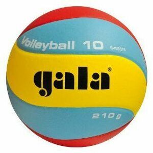 Gala Volleyball 10 BV 5551 S - 210g kép