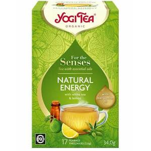 Bio tea az érzékeknek - Természetes energia - Yogi Tea kép