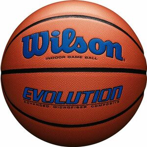 Wilson Evolution 295 Game Ball kék kép