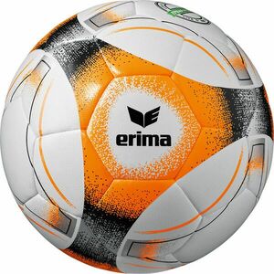 Labda Erima Erima Hybrid Lite 290 Trainingsball kép