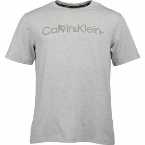 Calvin Klein ESSENTIALS PW S/S Férfi póló, szürke, veľkosť L kép