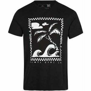 O'Neill FIN T-SHIRT Férfi póló, fekete, veľkosť L kép