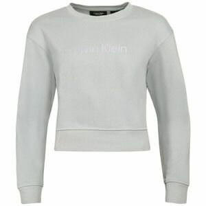 Calvin Klein PW PULLOVER Női pulóver, világoskék, veľkosť S kép