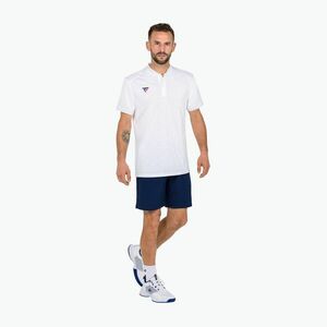 Férfi tenisz póló Tecnifibre Team Mesh fehér 22MEPOWH34 kép
