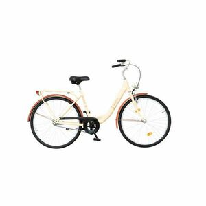 Kerékpár Neuzer Balaton 28 1S női krém/barna kép