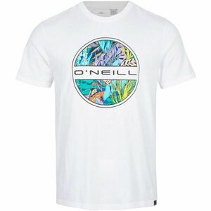 O'Neill SEAREEF T-SHIRT Férfi póló, fehér, veľkosť XL kép