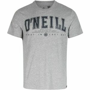 O'Neill STATE MUIR T-SHIRT Férfi póló, szürke, veľkosť L kép