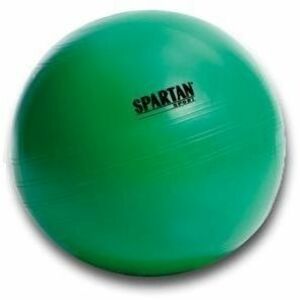 Gimnasztikai labda Spartan 65 cm - zöld kép