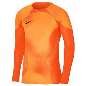 Hosszú ujjú póló Nike Dri-FIT ADV Gardien 4 Goalkeeper LS kép