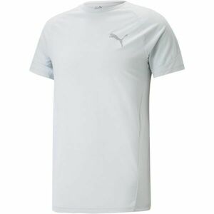Puma EVOSTRIPE TEE Férfi póló sportoláshoz, fehér, méret kép