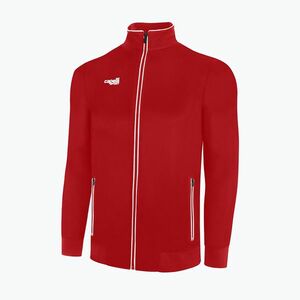 Férfi Capelli Basics Felnőtt edzőfocis pulóver piros/fehér kép