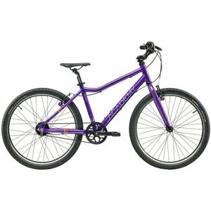 Academy Grade 5 Belt Purple 24" Gyerek kerékpár kép