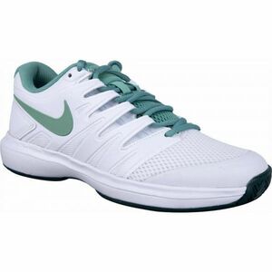 Nike AIR ZOOM PRESTIGE HC W Női teniszcipő, fehér, veľkosť 37.5 kép