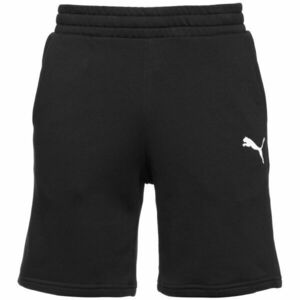 Puma TEAMGOAL 23 CASUALS SHORTS Férfi futball rövidnadrág, fekete, méret kép