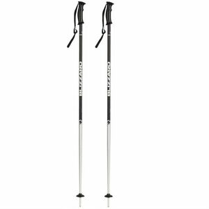 BLIZZARD-Sport ski poles, black matt/silver Fekete 135 cm 20/21 kép