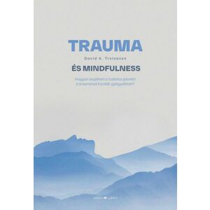 David A. Treleaven - Trauma és mindfulness kép