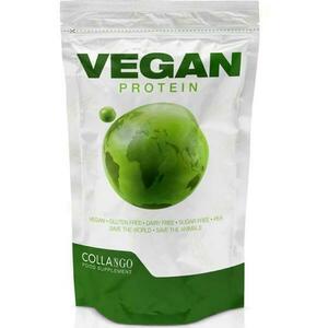 Vegan Protein 600 g kép