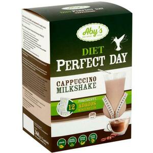 Diet Perfect Day milkshake italpor 360 g kép