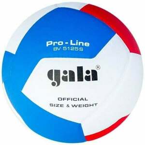 Gala Pro Line 12 Fedett röplabda kép