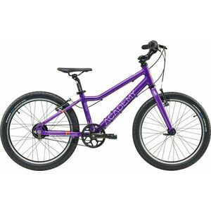 Academy Grade 4 Belt Purple 20" Gyerek kerékpár kép
