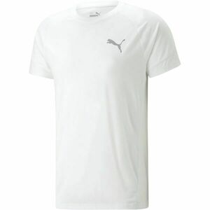 Puma EVOSTRIPE TEE Férfi póló sportoláshoz, fehér, veľkosť S kép
