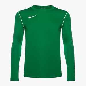 Férfi Nike Dri-FIT Park 20 Crew fenyő zöld/fehér hosszú ujjú futballcipő kép