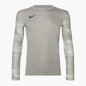 Férfi Nike Dri-FIT Park IV kapus póló ónszürke/fehér/fekete kép