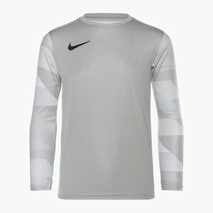 Nike Dri-FIT Park IV Gyermek kapus póló ónszürke/fehér/fekete kép