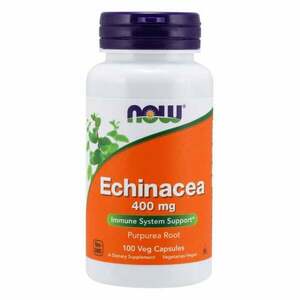 Echinacea 400 mg - NOW Foods kép