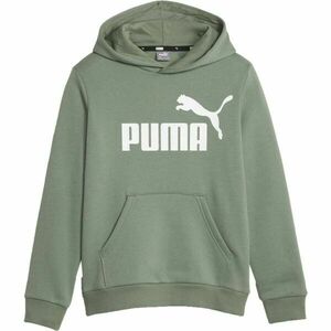 Puma ESSENTIALS BIG LOGO HOODIE Fiú pulóver, khaki, méret kép