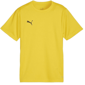 Rövid ujjú póló Puma teamGOAL T-Shirt kép