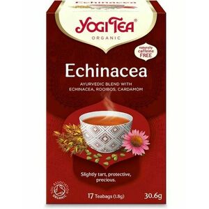 Echinacea bio tea - Yogi Tea kép