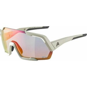 Alpina Rocket QV Cool/Grey Matt/Rainbow Kerékpáros szemüveg kép