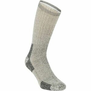 NATURA VIDA REGULAR GRIS Férfi zokni, szürke, méret kép