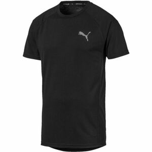 Puma EVOSTRIPE TEE Férfi póló, fekete, méret kép