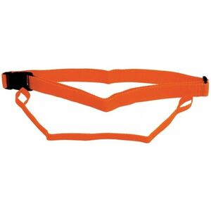 Swim secure waist belt and leash narancssárga kép