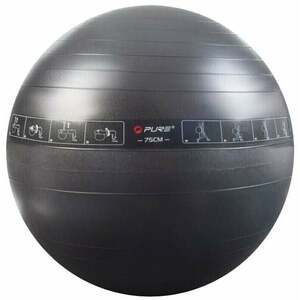 Pure 2 Improve Exercise Ball Fekete 75 cm kép