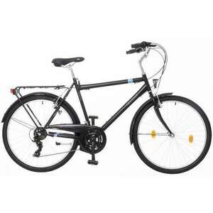 Neuzer Venezia 30 26" férfi Kerékpár - fekete-ezüst kép