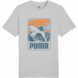 Puma GRAPHIC MOUNTAIN TEE Férfi póló, szürke, méret kép