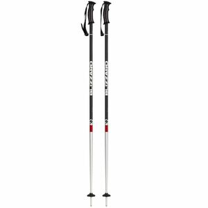 BLIZZARD-Rental junior ski poles Szürke 95 cm 23/24 kép