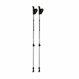 BLIZZARD-Alu Performance nordic walking poles, silver/black Ezüst 105/135 cm kép