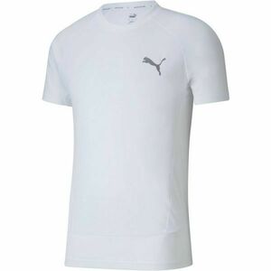 Puma EVOSTRIPE TEE Férfi sportpóló, fehér, méret kép