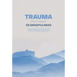 David A. Treleaven - Trauma és mindfulness kép