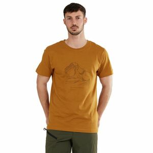 FUNDANGO-Legend T-shirt-240-mustard Sárga XXL kép